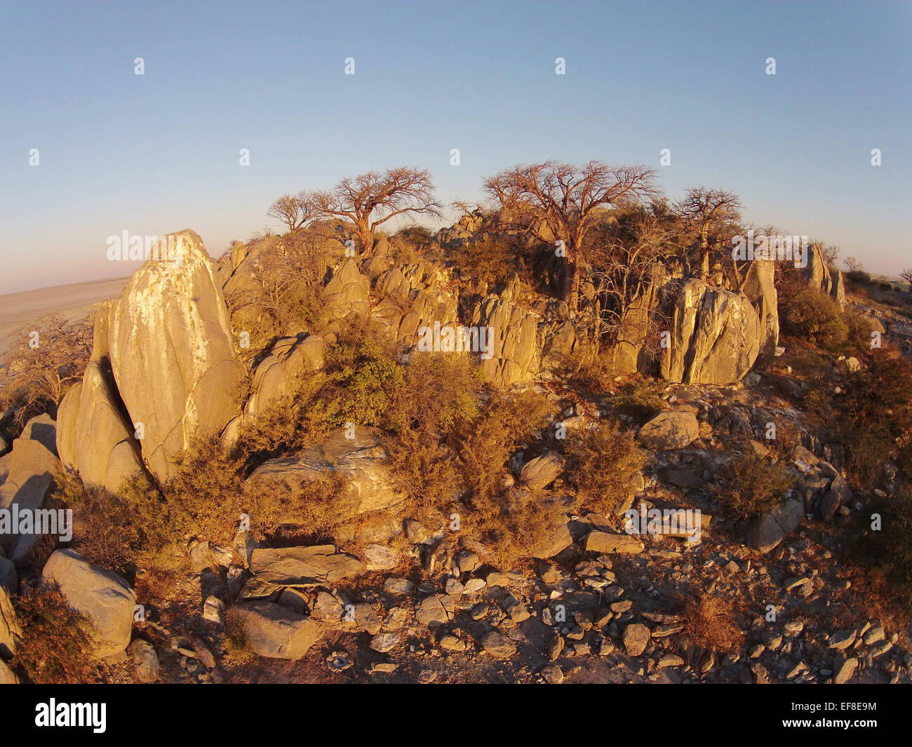 L'Afrique, Botswana, vue aérienne de coucher du soleil la lumière sur les Baobabs au sommet rocheux de granit à sec de Kubu Island dans Makgadikgadi Pan dans Banque D'Images