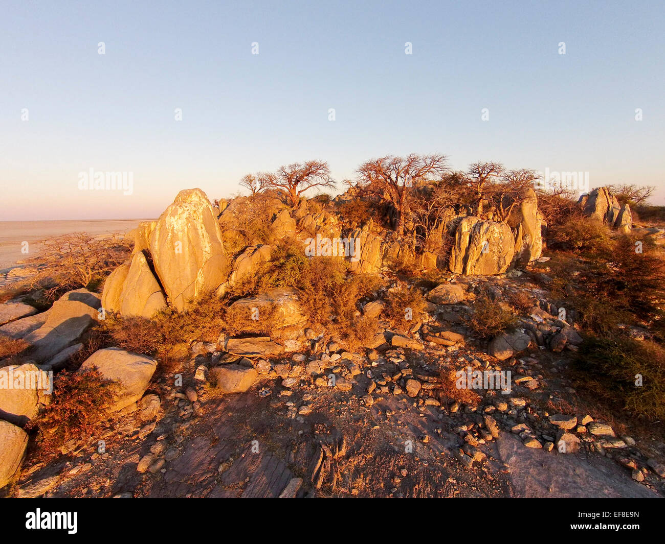 L'Afrique, Botswana, vue aérienne de coucher du soleil la lumière sur les Baobabs au sommet rocheux de granit à sec de Kubu Island dans Makgadikgadi Pan dans Banque D'Images