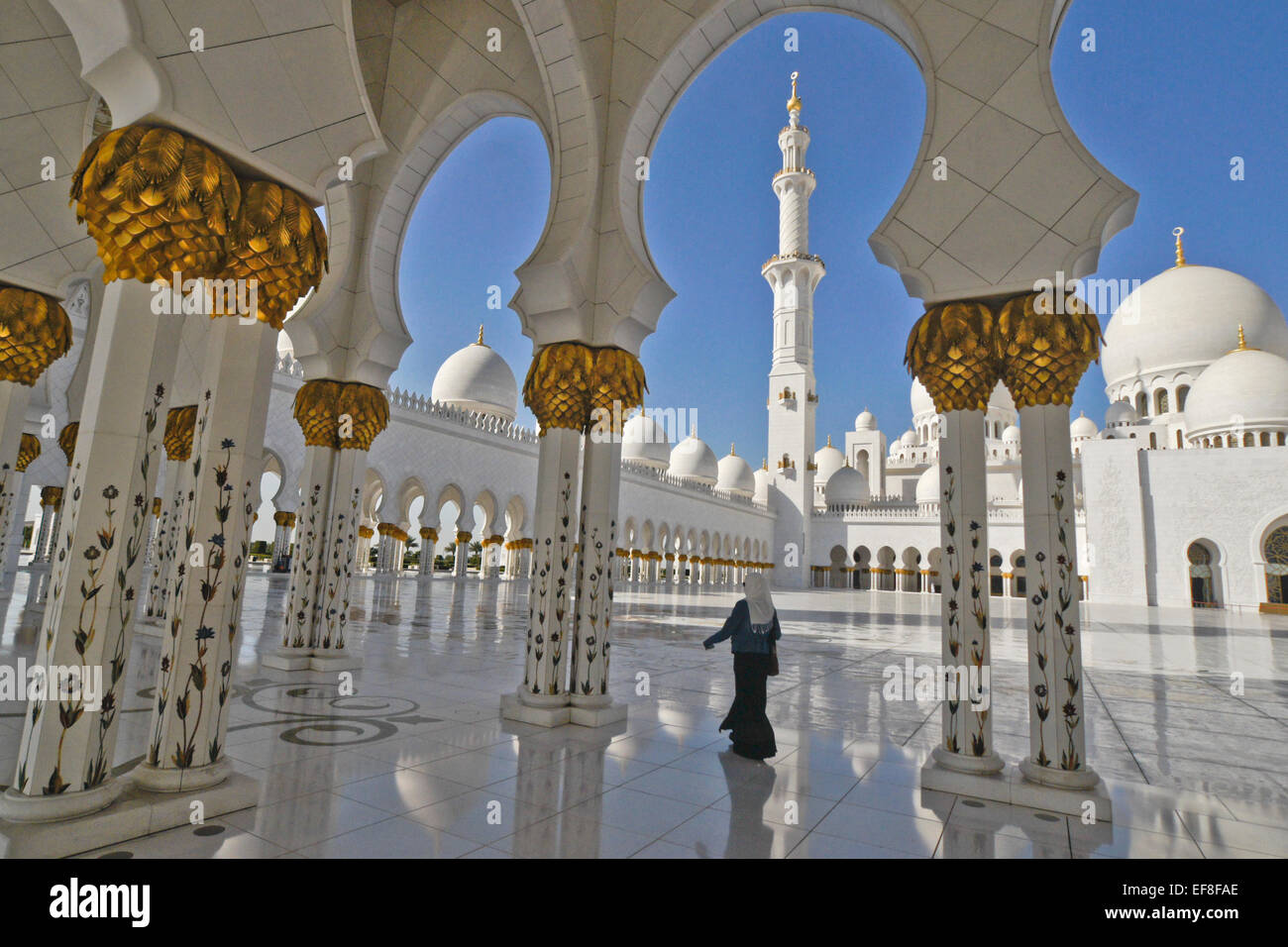 Cheikh Zayed bin Sultan al-Nahyan Mosquée (Grande Mosquée), Abu Dhabi, UAE Banque D'Images