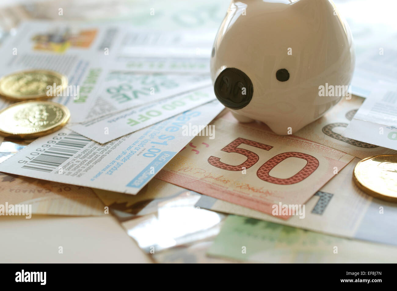 Tirelire sur fond d'argent canadien Banque D'Images