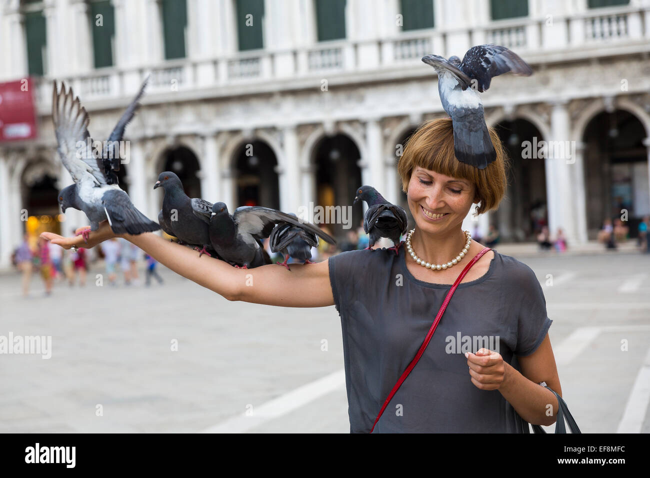 Woman feeding pigeons. Banque D'Images