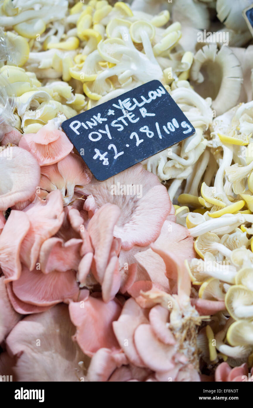 Pleurotes roses et jaunes, full frame avec tableau de prix sur un stand au London's Borough Market, Southwark Banque D'Images