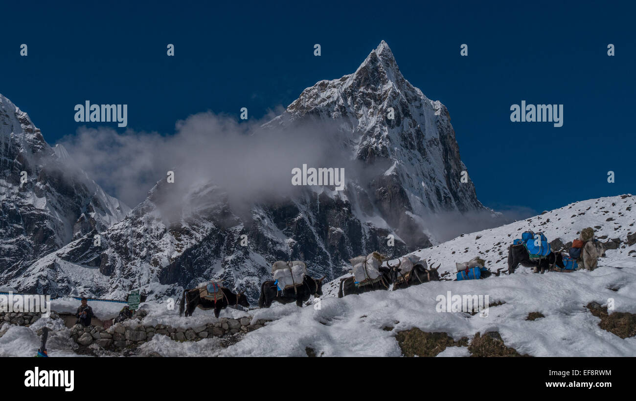 Le Népal, trekking au camp de base de l'Everest Banque D'Images