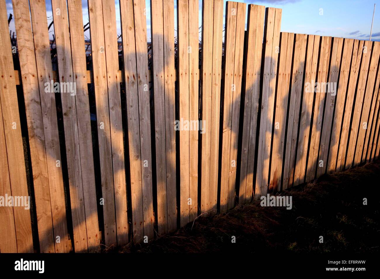 Ombres de cinq personnes sur une clôture en bois Banque D'Images