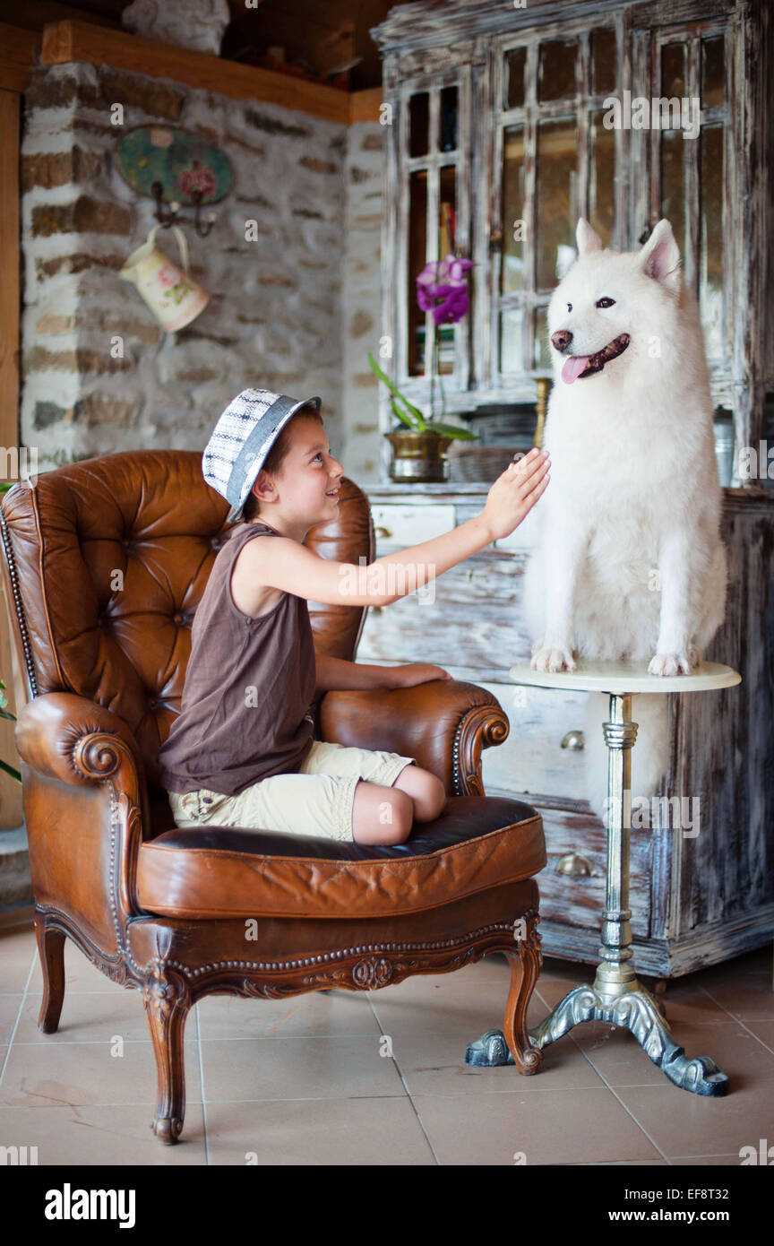 Boy (8-9) à jouer avec chien samoyède Banque D'Images