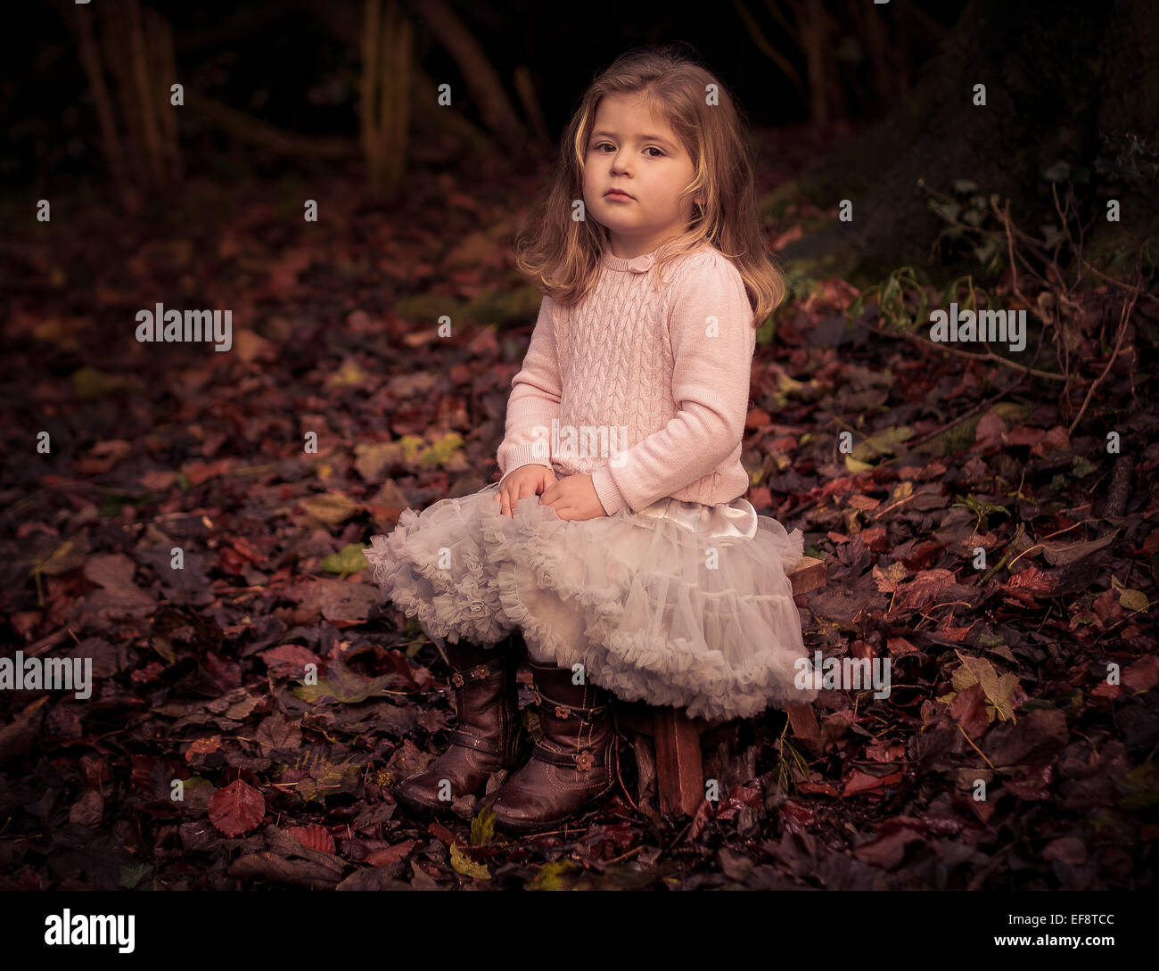 Portrait of Girl sitting in autumn forest Banque D'Images