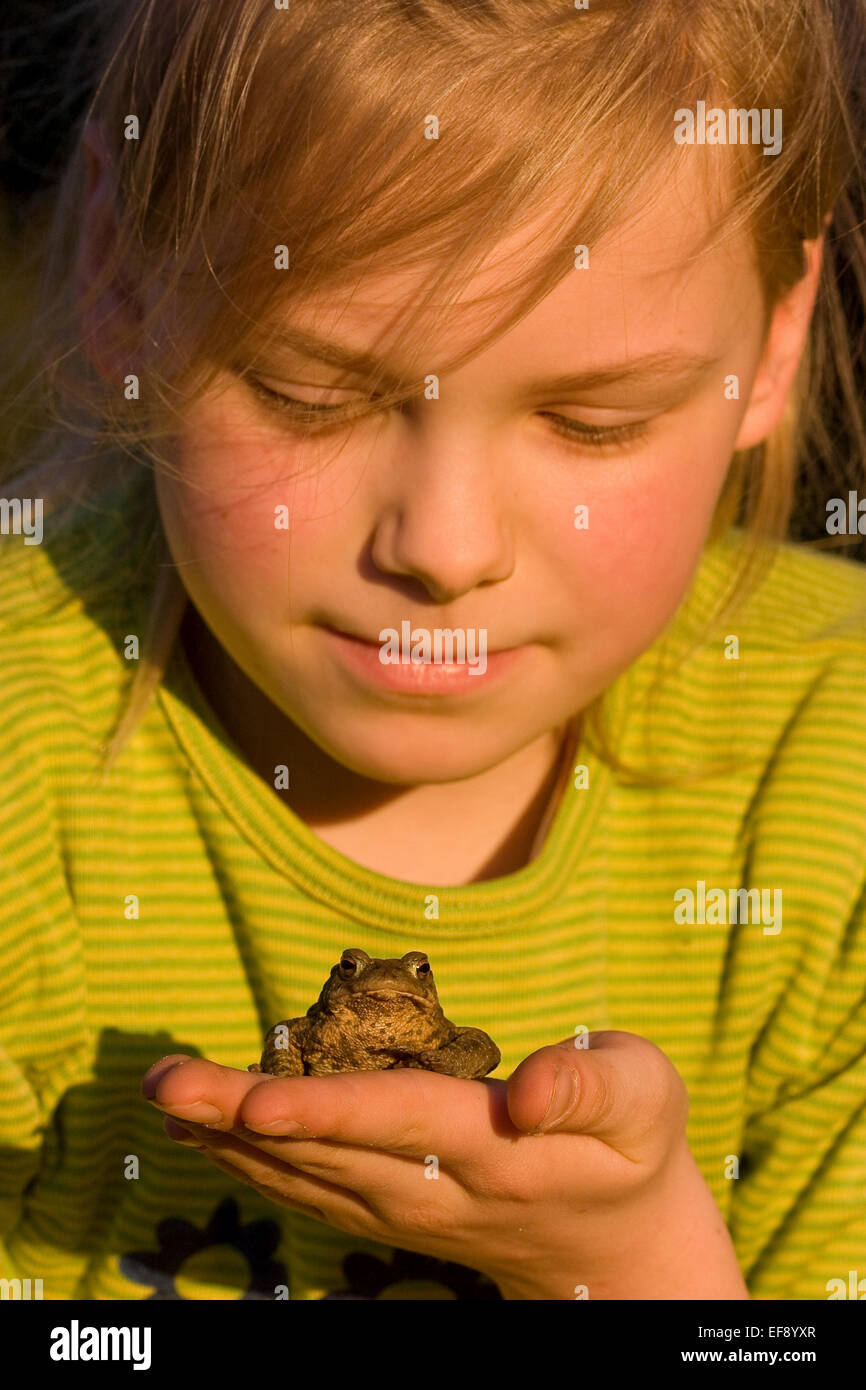 Crapaud commun européen, crapauds, fille, enfant, enfants, Mädchen, genre, Erdkröte, Kröte, Kröten, part, Bufo bufo Banque D'Images