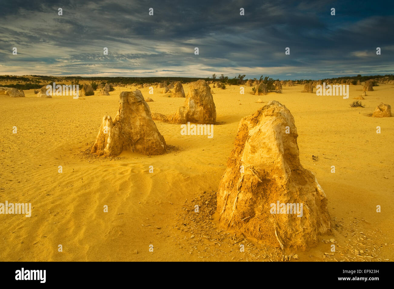 Approche de l'orage dans la région de Pinnacle Desert du Parc National de Nambung. Banque D'Images