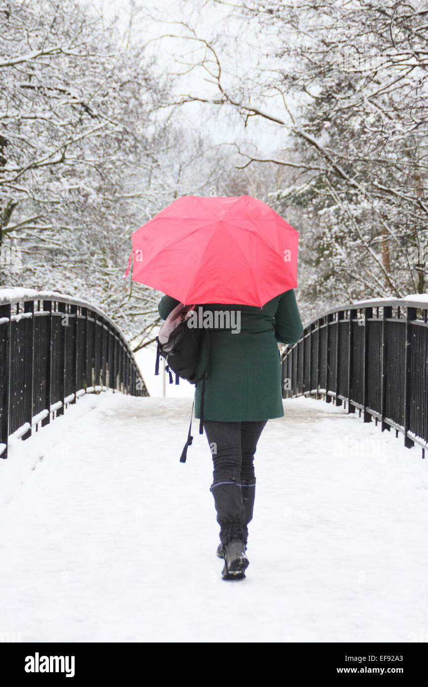Chesterfield, Derbyshire, Royaume-Uni. 29 janvier, 2015. Météo : Fortes chutes de neige au Royaume-Uni crée une scène pittoresque Winter Wonderland. Credit : Matthew Taylor/Alamy Live News Banque D'Images