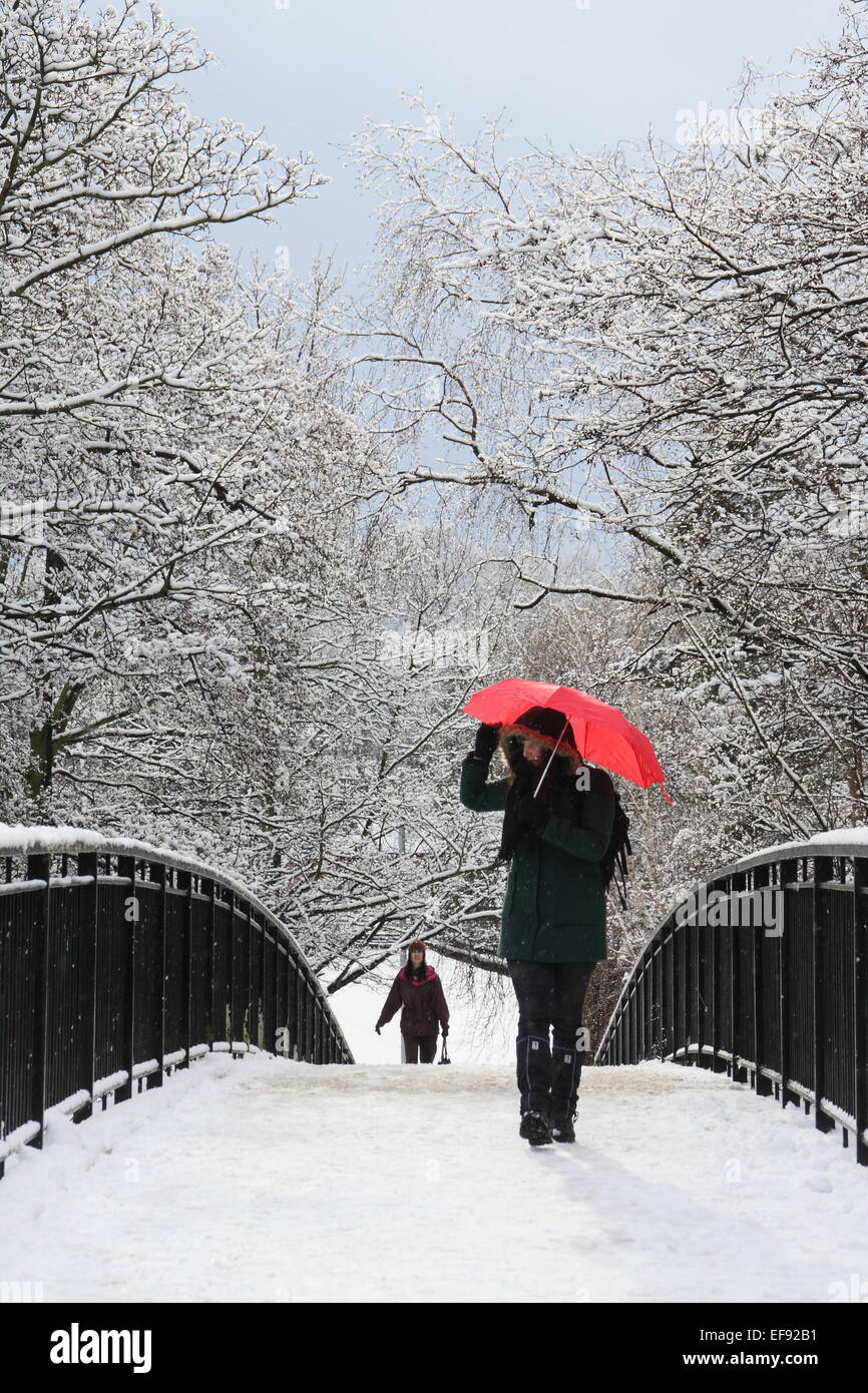Chesterfield, Derbyshire, Royaume-Uni. 29 janvier, 2015. Météo : Fortes chutes de neige au Royaume-Uni crée une scène pittoresque Winter Wonderland. Credit : Matthew Taylor/Alamy Live News Banque D'Images