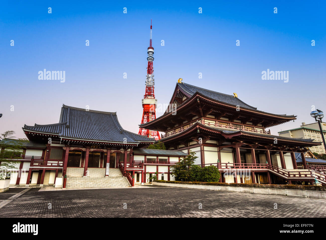 Vue du temple Zojo.ji et la Tour de Tokyo, Tokyo, Japon. Banque D'Images