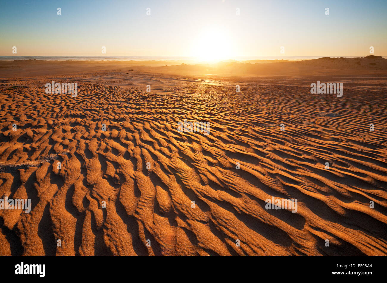 Coucher de soleil dans les dunes du parc national de Coorong. Banque D'Images