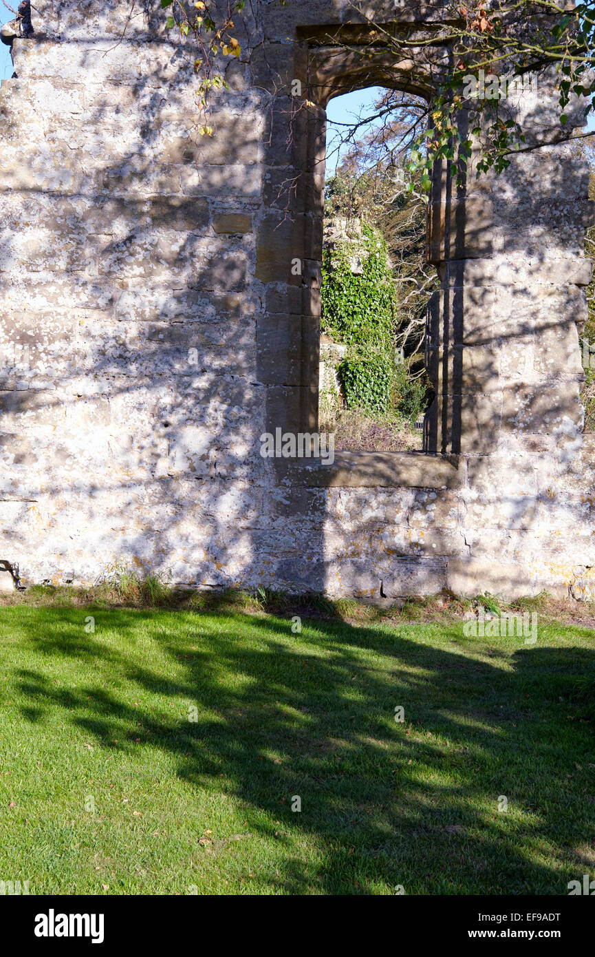 Fenêtre à l'abbaye de Jervaulx près de Masham, Yorkshire du Nord Banque D'Images