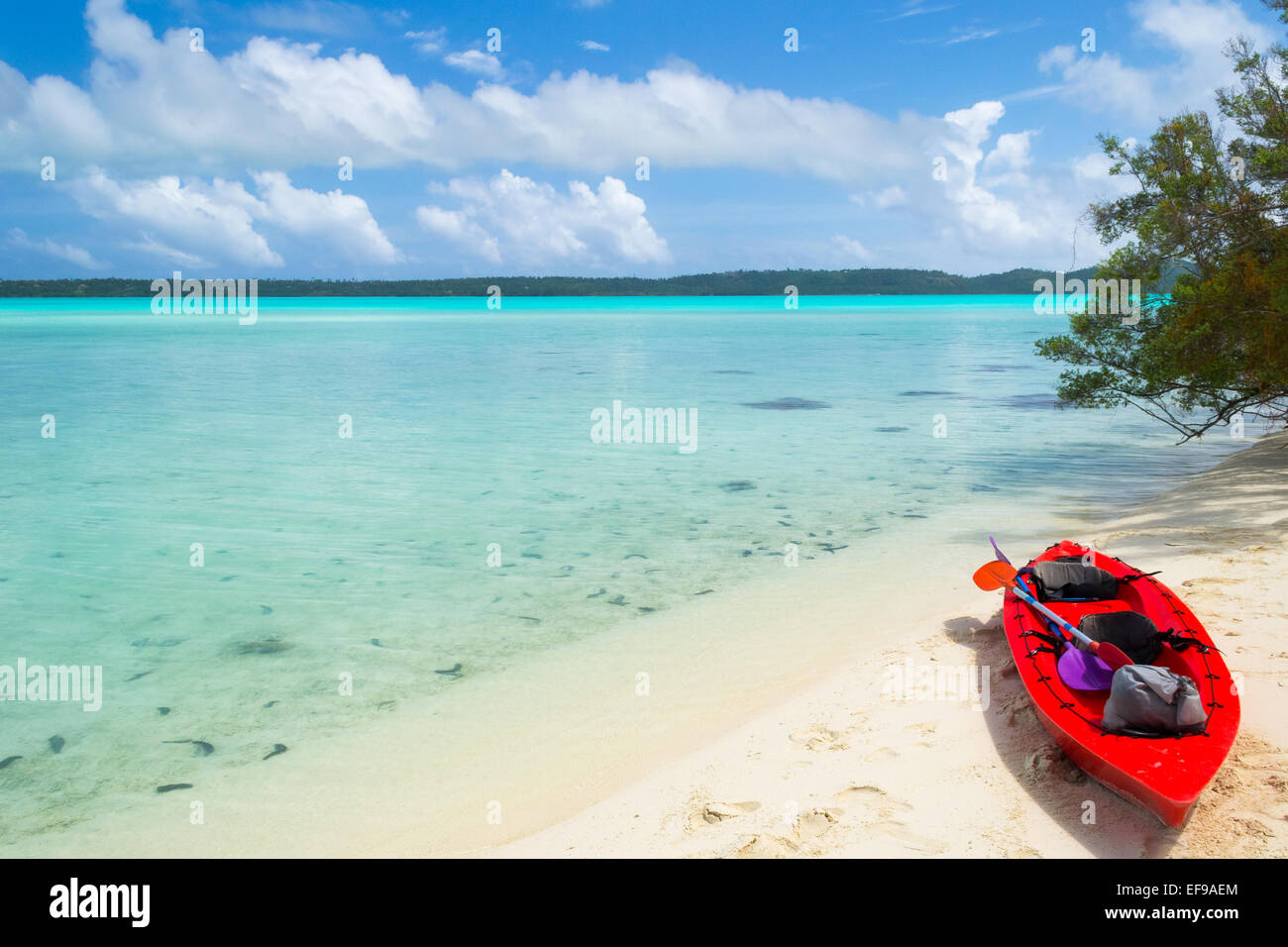 L'exploration de la magnifique lagune de Aitutaki, Îles Cook, par canoë est le meilleur moyen d'atteindre peu d'îles désertes comme ceci. Banque D'Images