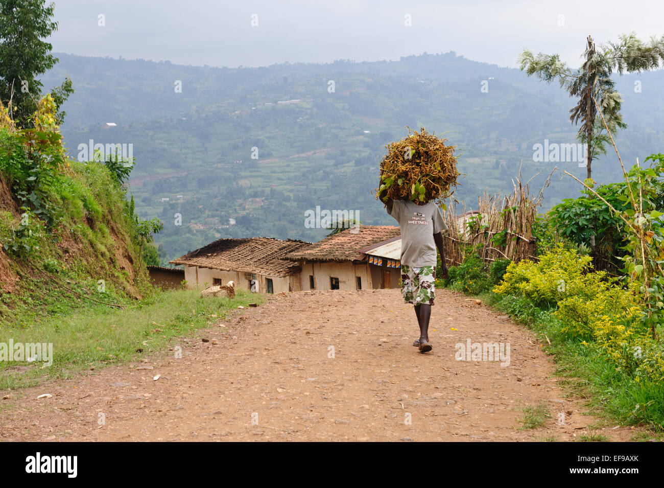 Lever du soleil sur le lac Kivu, près de Kibuye, Rwanda, Afrique centrale. à l'arrière-plan, Congo Banque D'Images Lever du soleil sur le lac Kivu, près de Kibuye, Rwanda, Afrique centrale. à l'arrière-plan, Congo Banque D'Images