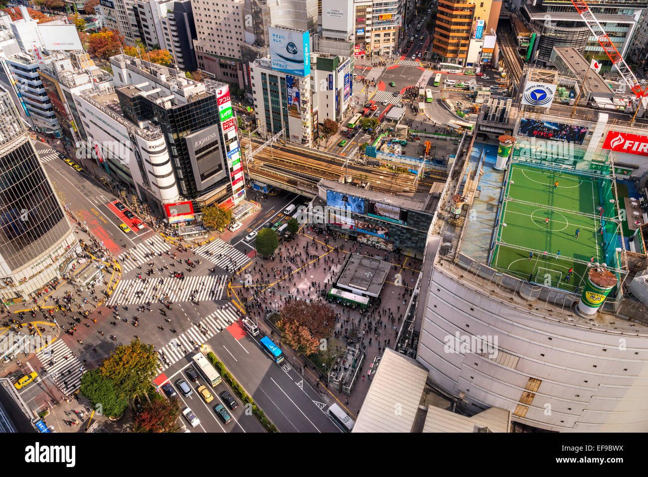 TOKYO - 15 novembre : croisement de Shibuya le 12 novembre 2014 à Tokyo, Japon. Le passage est l'un des plus connu d'exam Banque D'Images