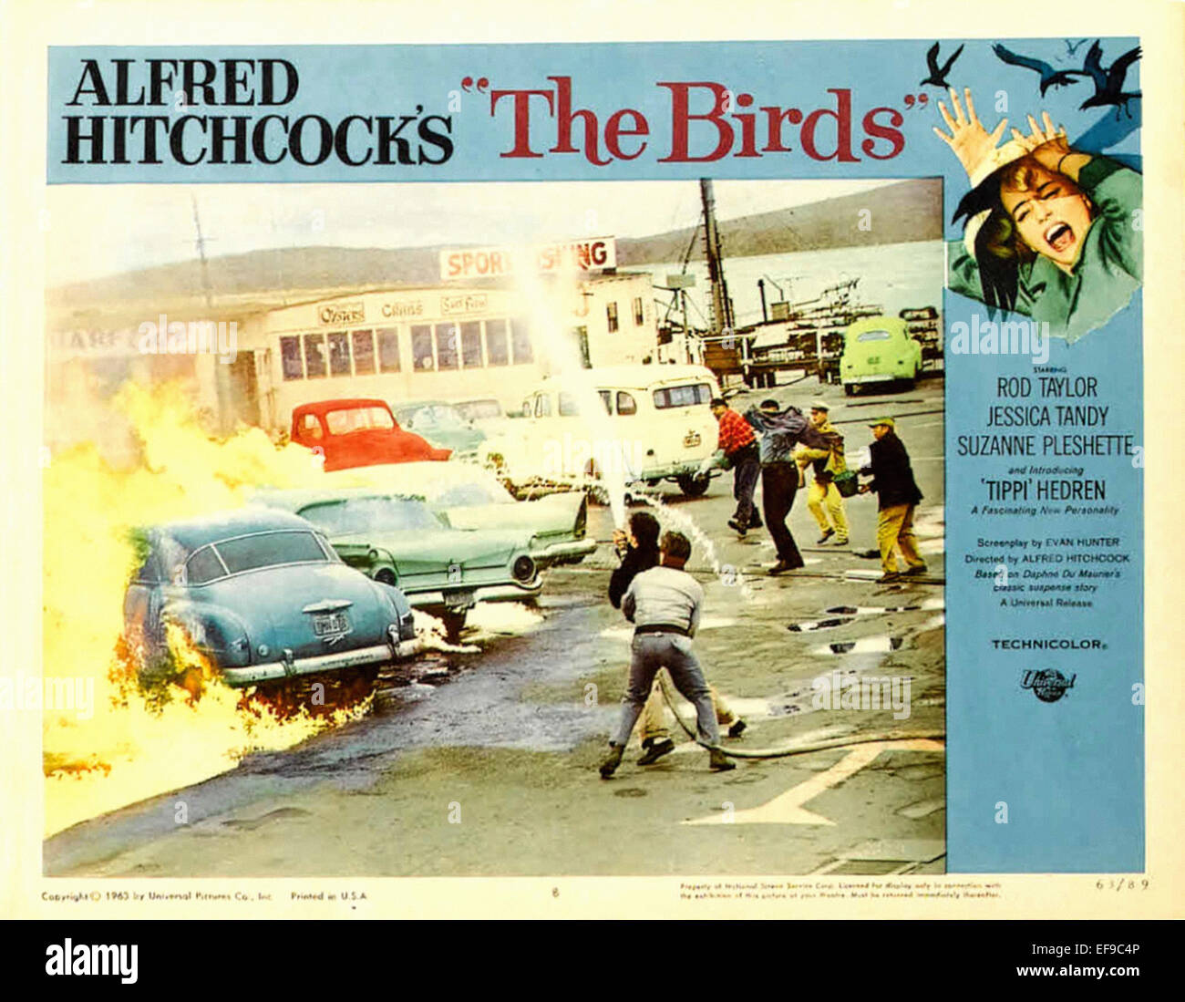 Les oiseaux - Film Poster - Lobby Card Banque D'Images