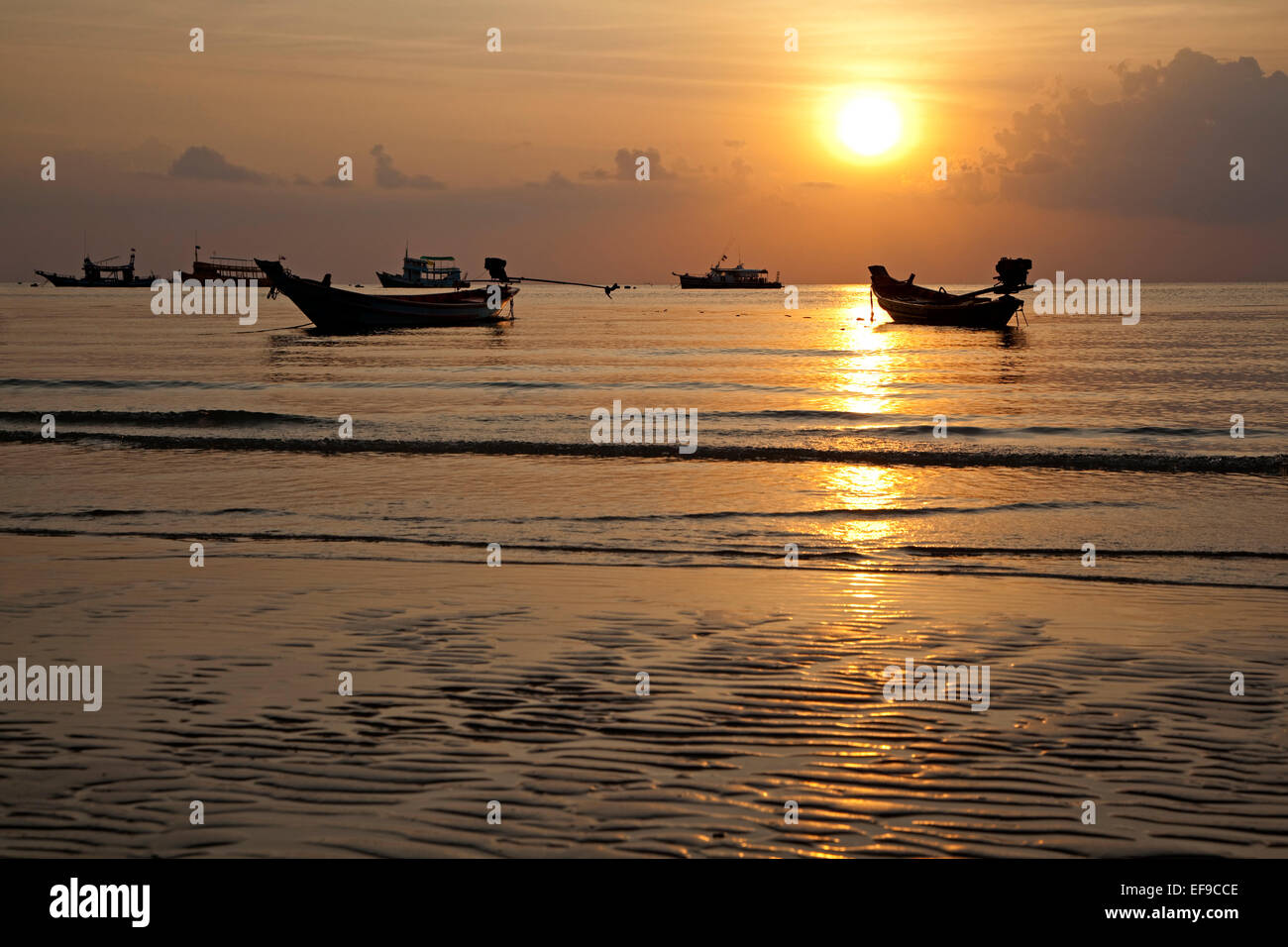 Bateaux de pêche thaïlandais découpé sur le coucher du soleil, île de Ko Tao / Koh Tao, une partie de l'archipel de luxe dans le sud de la Thaïlande Banque D'Images