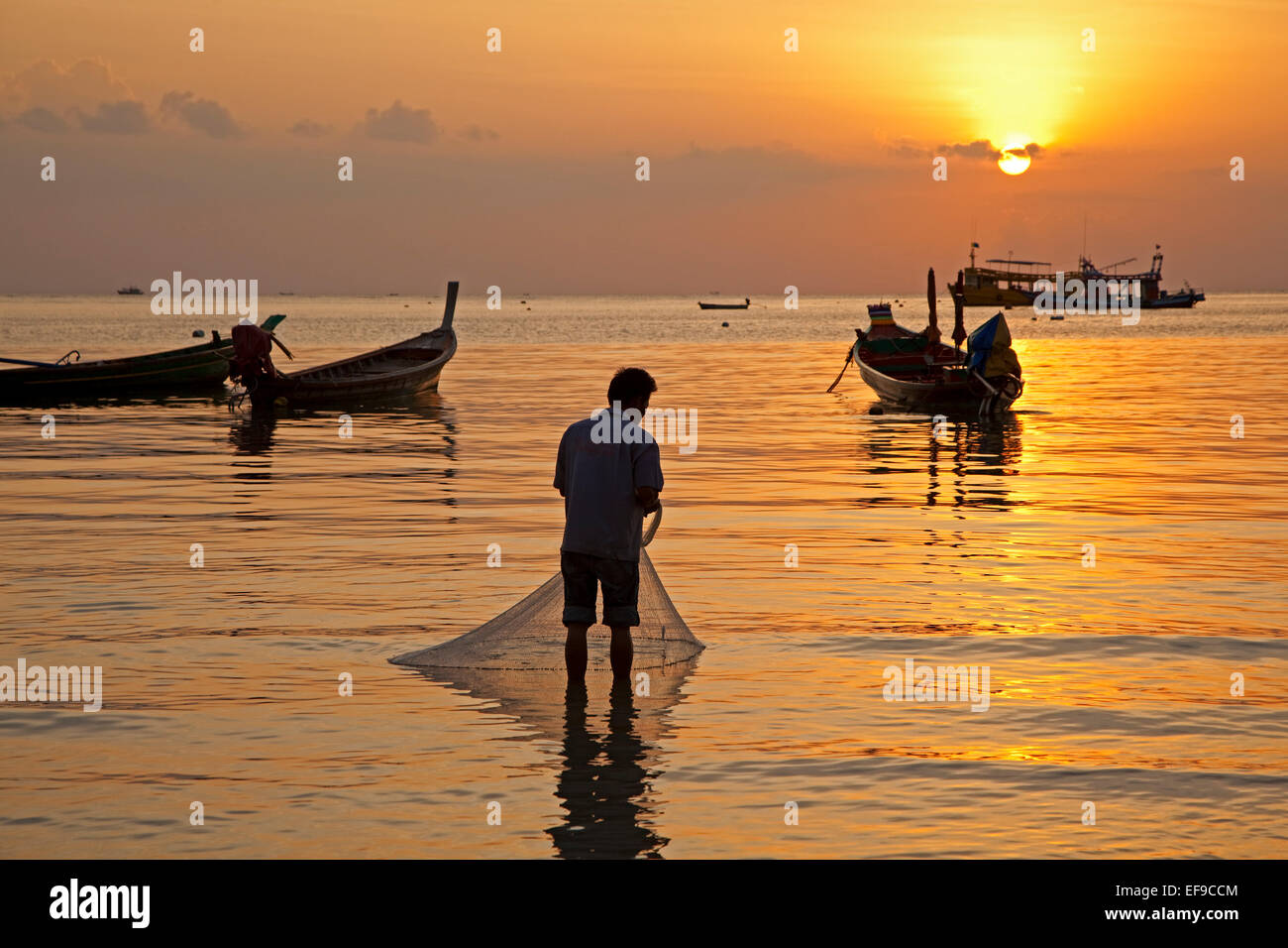 Bateaux de pêche thaïlandais découpé sur le coucher du soleil, île de Ko Tao / Koh Tao, une partie de l'archipel de luxe dans le sud de la Thaïlande Banque D'Images