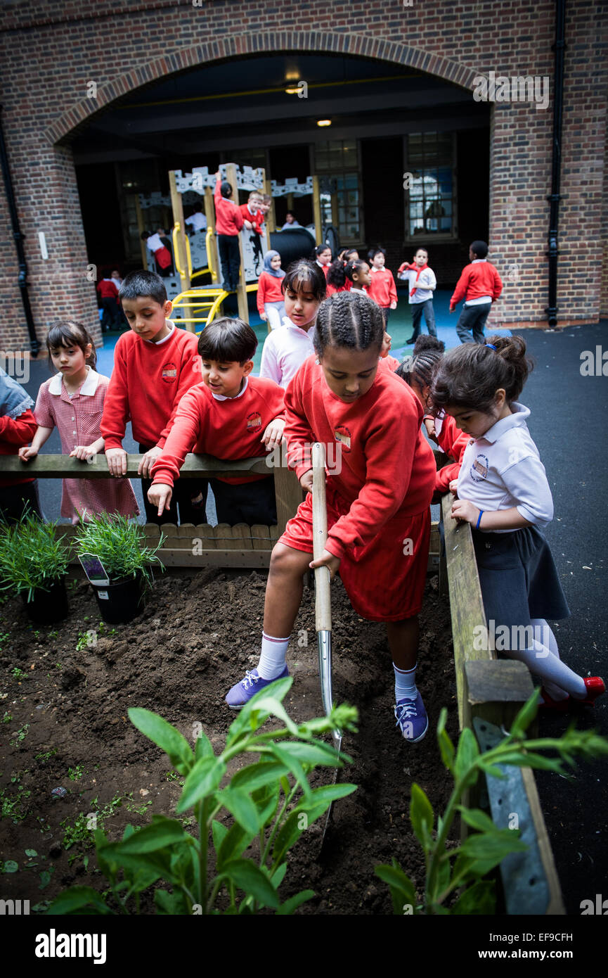 Fille de l'école primaire jardin creuser dans une école primaire, London,UK Banque D'Images