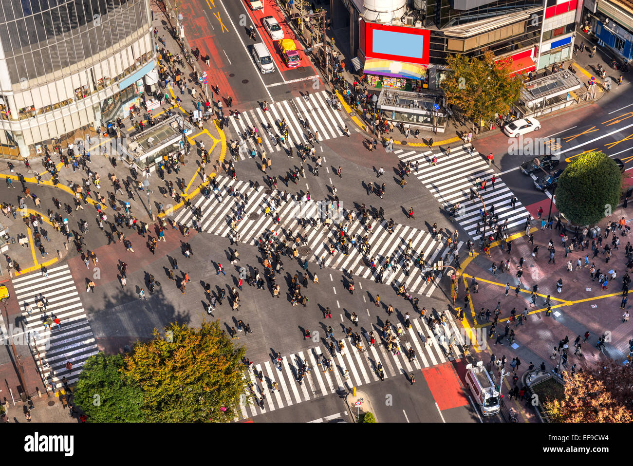 Avis de croisement de Shibuya, l'un des plus occupés des passages pour piétons dans le monde. Tokyo, Japon. Banque D'Images