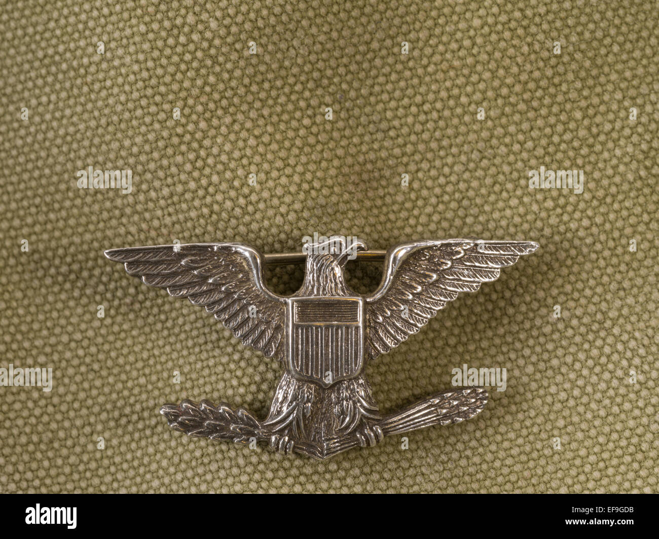 Colonel silver eagle insigne de rang Banque D'Images