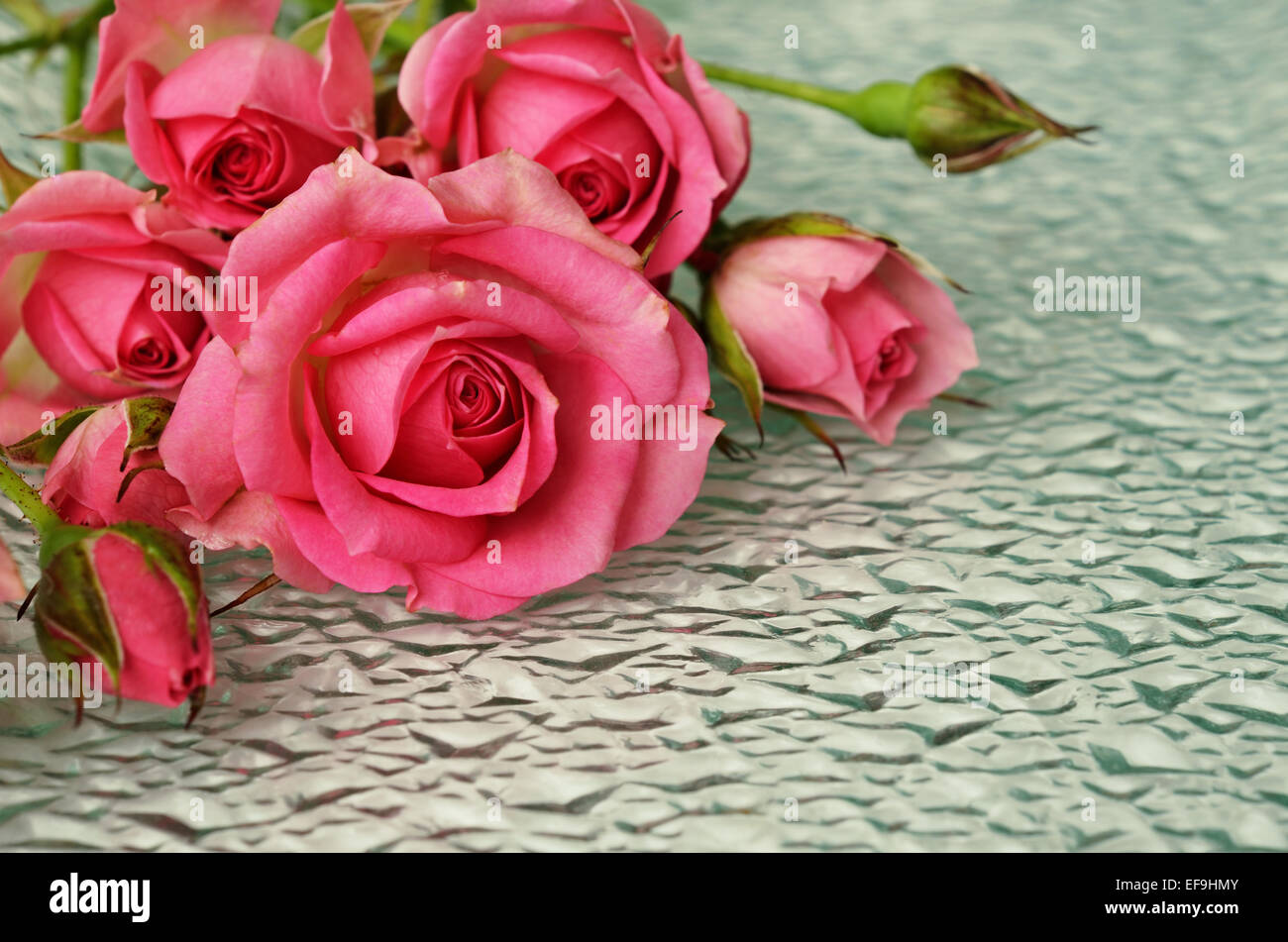 Fleurs rose rose sur fond de verre inégale Banque D'Images