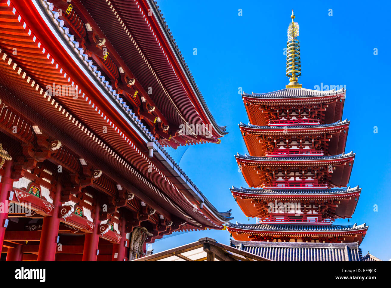 Vue de nuit-ji, Temple Sensoji à Asakusa, Tokyo, Japon. Banque D'Images