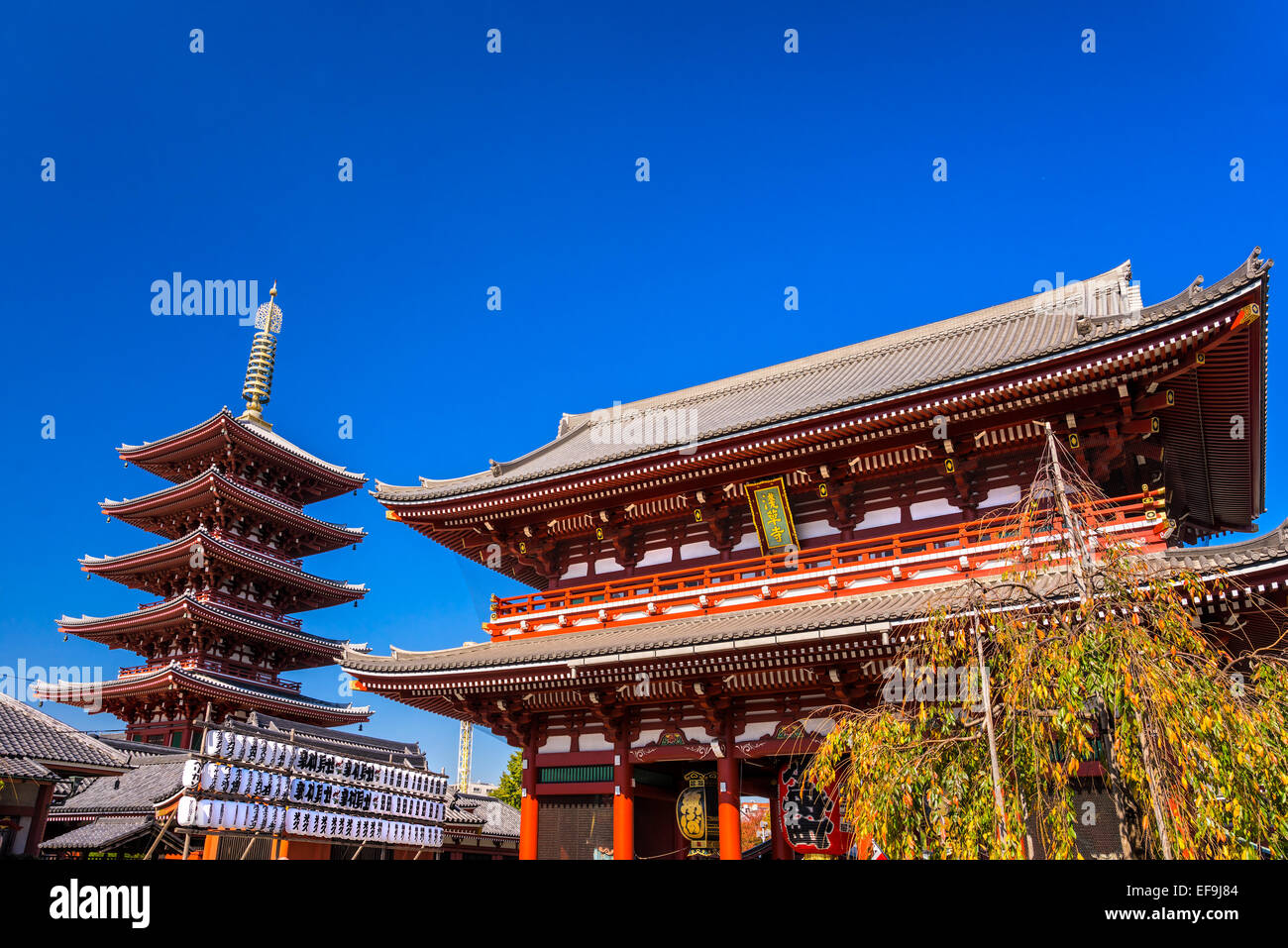 Vue de nuit-ji, Temple Sensoji à Asakusa, Tokyo, Japon. Banque D'Images