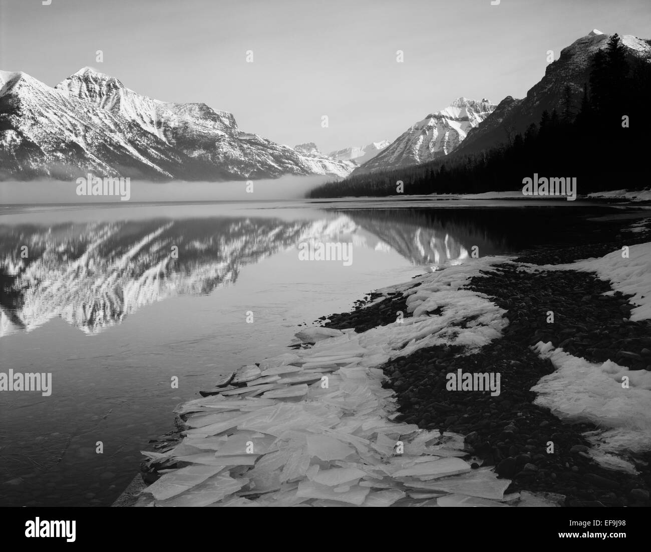 Noir & blanc, d'icy rive du lac McDonald, avec les sommets enneigés en arrière-plan, le Glacier National Park, Montana, USA Banque D'Images