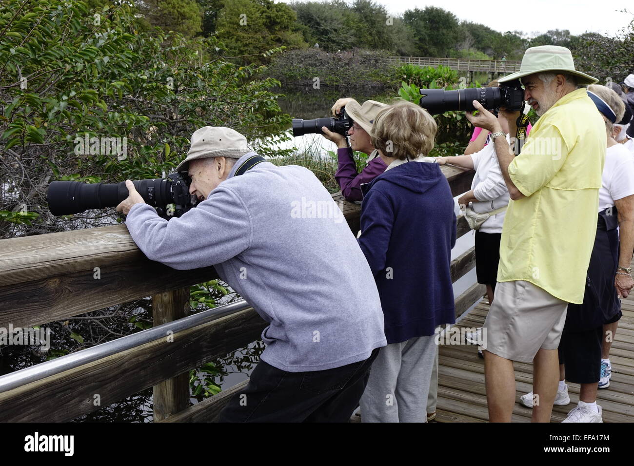 Photographes des téléobjectifs vérifiant les oiseaux à Wakodahatchee Wetlands, Delray Beach, Palm Beach County, Floride Banque D'Images