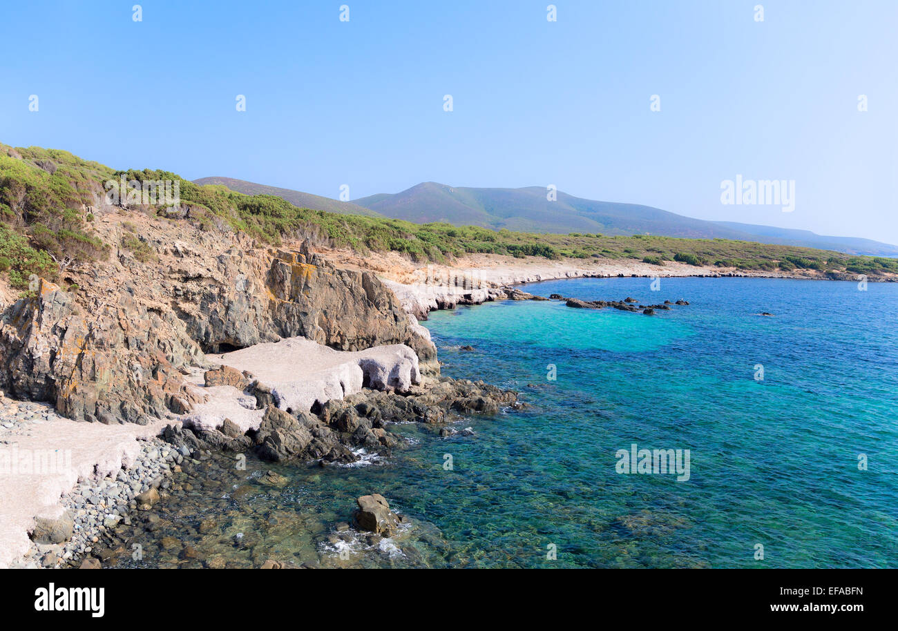 Plage sauvage couverte de feuilles de palmier, comme de la neige compactée. Banque D'Images