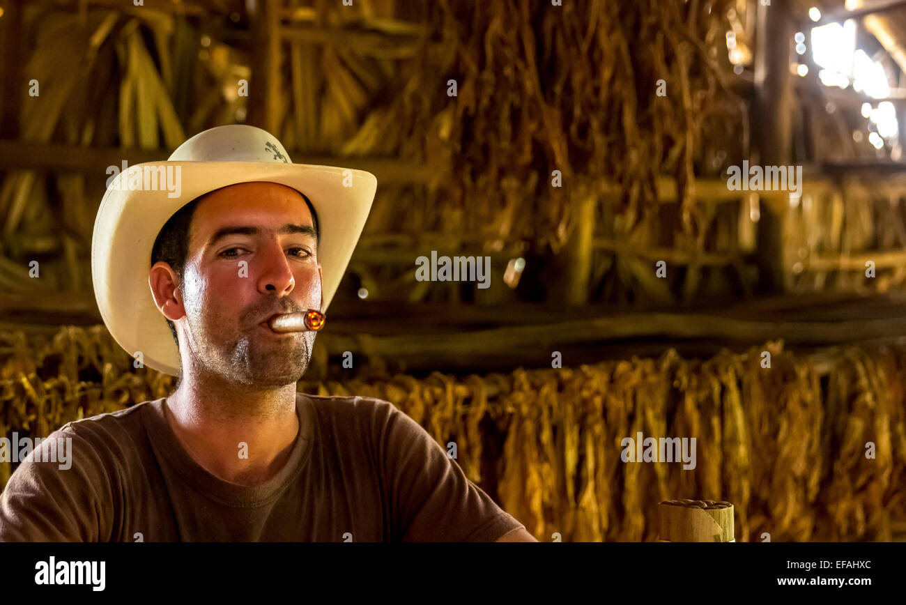 Producteur de tabac Luis Alvares Manne Rodrigues fumer un havane, ferme de tabac, Vallée de Vinales, Vinales Banque D'Images