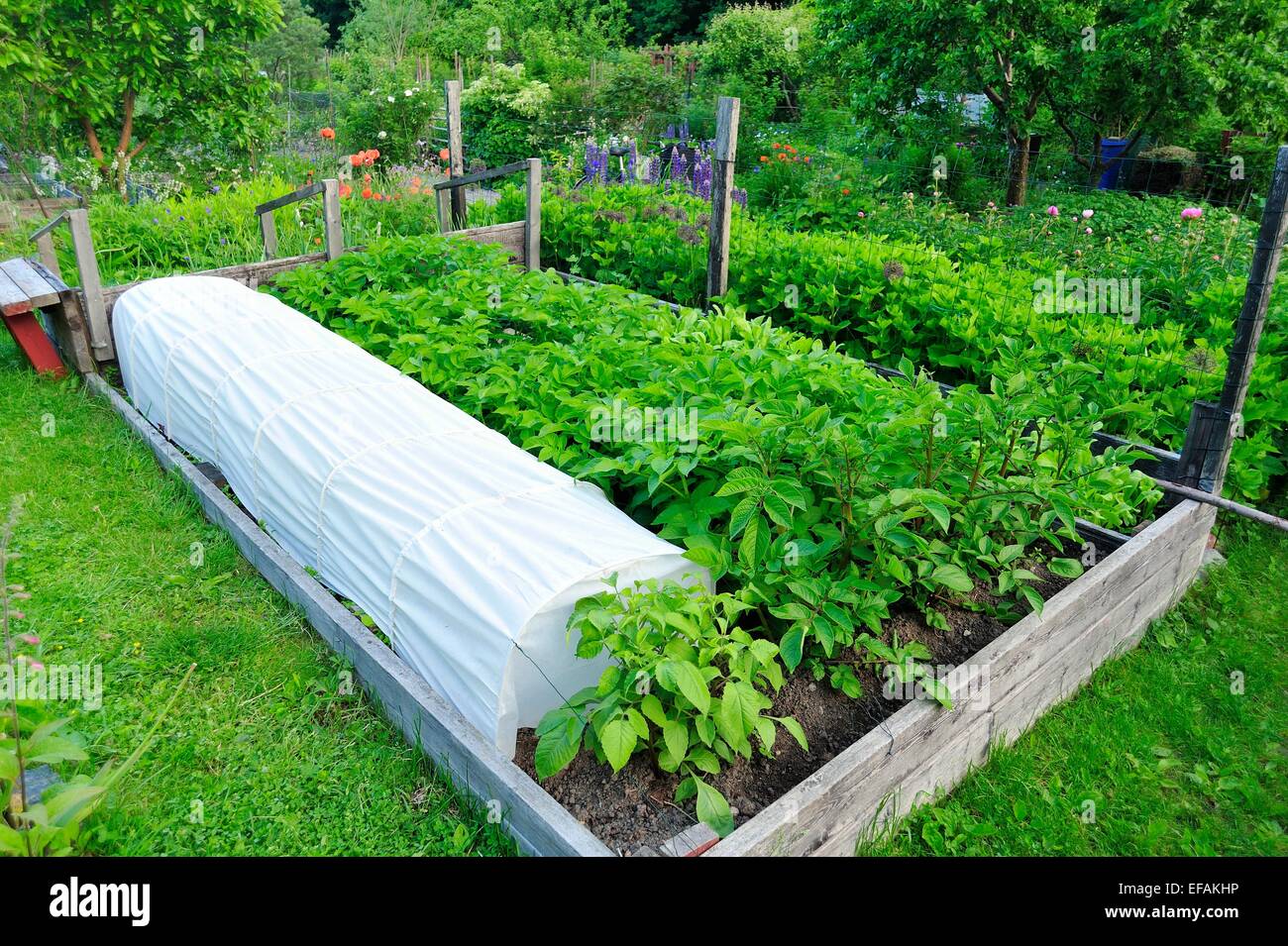 Jardinage biologique Banque D'Images