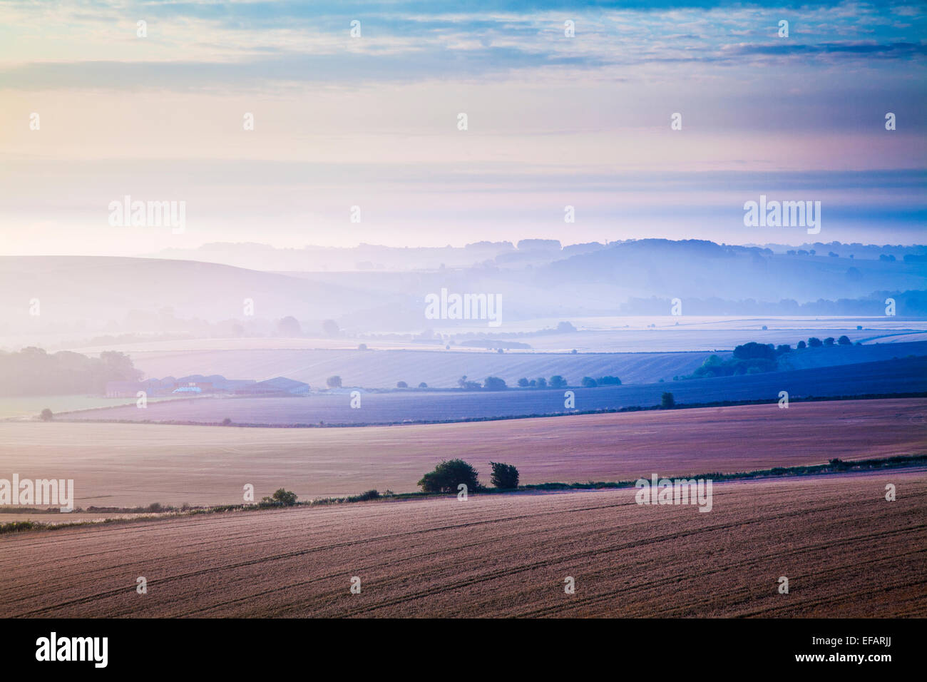 Le songe d'aube sur la Marlborough Downs dans le Wiltshire de Liddington Hill. Banque D'Images