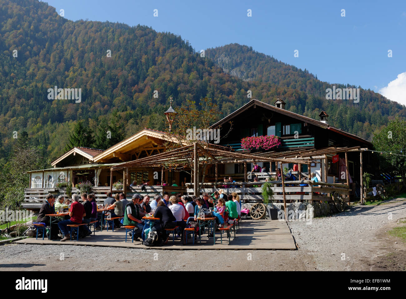 Sur le Schopperalm, Schopper Alm alp, Gießenbachklamm gorge, près de Kiefersfelden, vallée de l'Inn, Upper Bavaria, Bavaria, Germany Banque D'Images