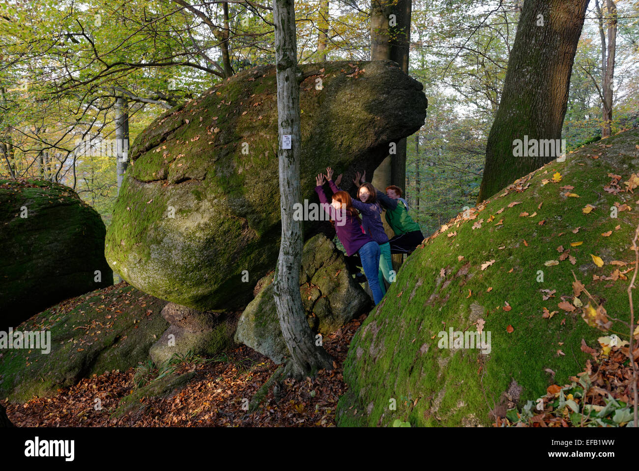 Randonnées familiales dans un rock park, rochers, rock garden, intempéries, concentriques, château Falkenstein, Haut-Palatinat, en Bavière Banque D'Images