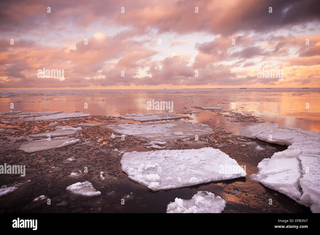 Paysage côtier d'hiver avec des fragments de glace flottant sur l'eau de mer toujours avec red ciel nuageux réflexions. Golfe de Finlande, Russie Banque D'Images