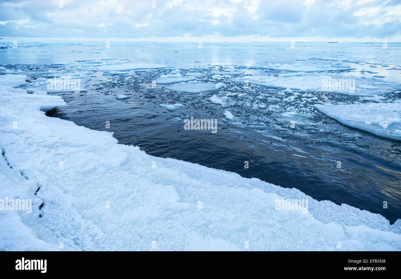 Paysage côtier d'hiver avec des glaces flottantes sur l'eau de mer encore. Golfe de Finlande, Russie Banque D'Images