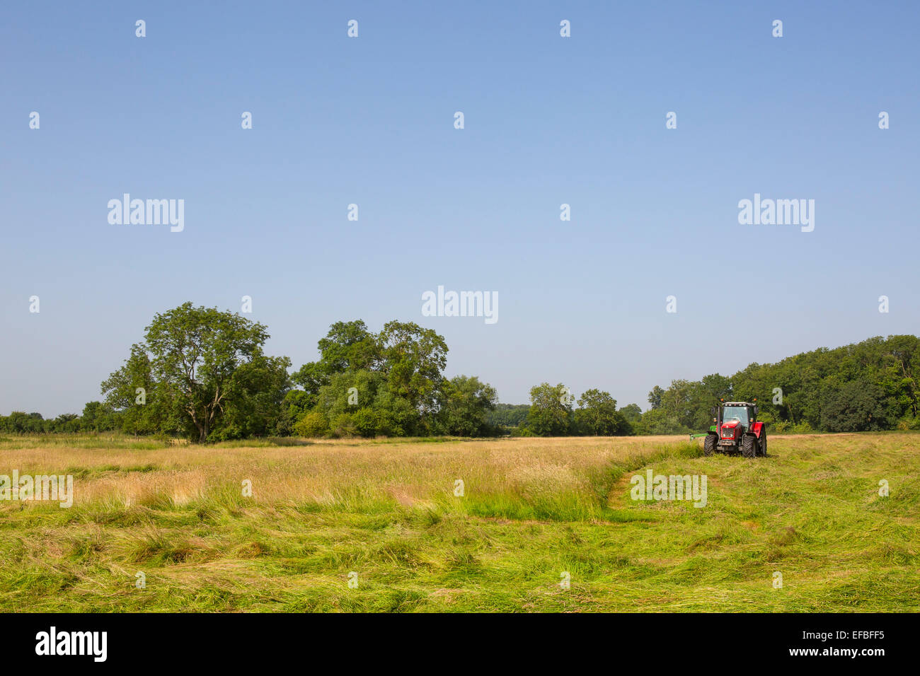 Tracteur et faucheuse à foin champ de tonte, Oxfordshire, Angleterre Banque D'Images