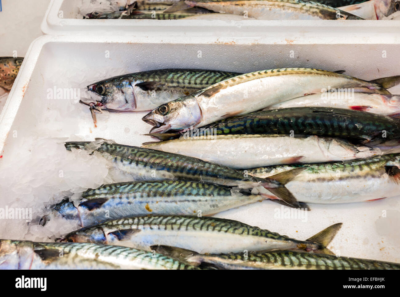 Le poisson frais sur la glace dans le marché français à Paris France Banque D'Images