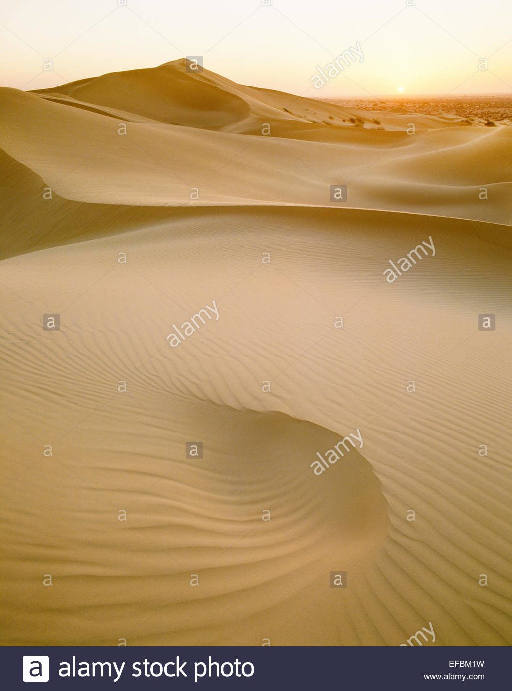 Soleil sur les dunes de la réserve Pinacate. L'État de Sonora, au Mexique. Banque D'Images