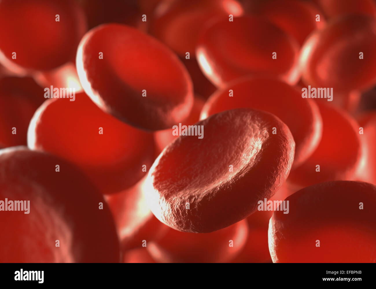 Les cellules rouges du sang dans les vaisseaux en mouvement avec la profondeur de champ. Banque D'Images