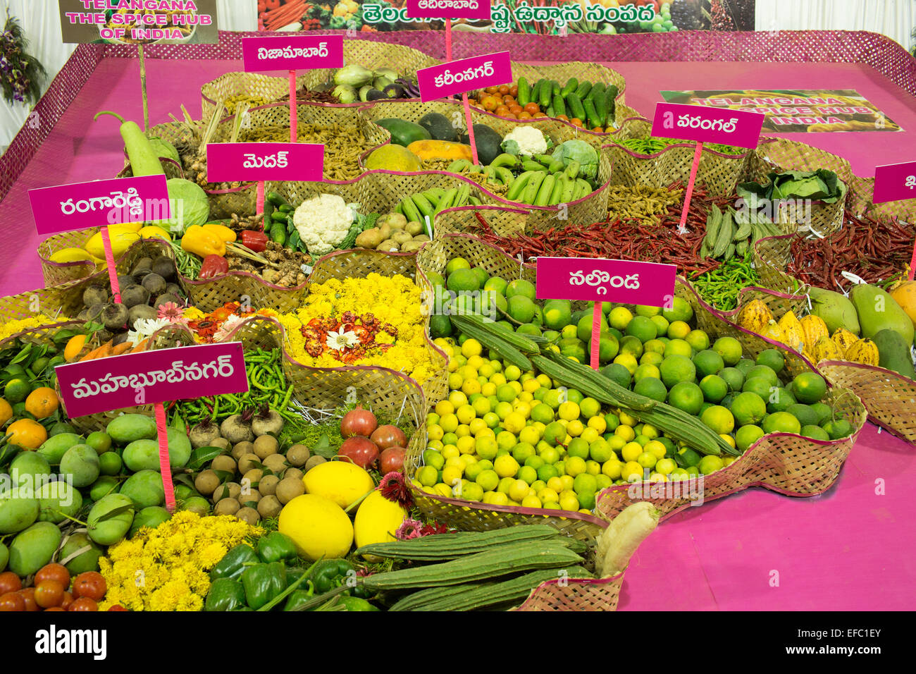 Un spectacle à l'Horticulture, carte des légumes cultivés dans les différentes parties de l'Inde sur l'écran,Telangana Banque D'Images