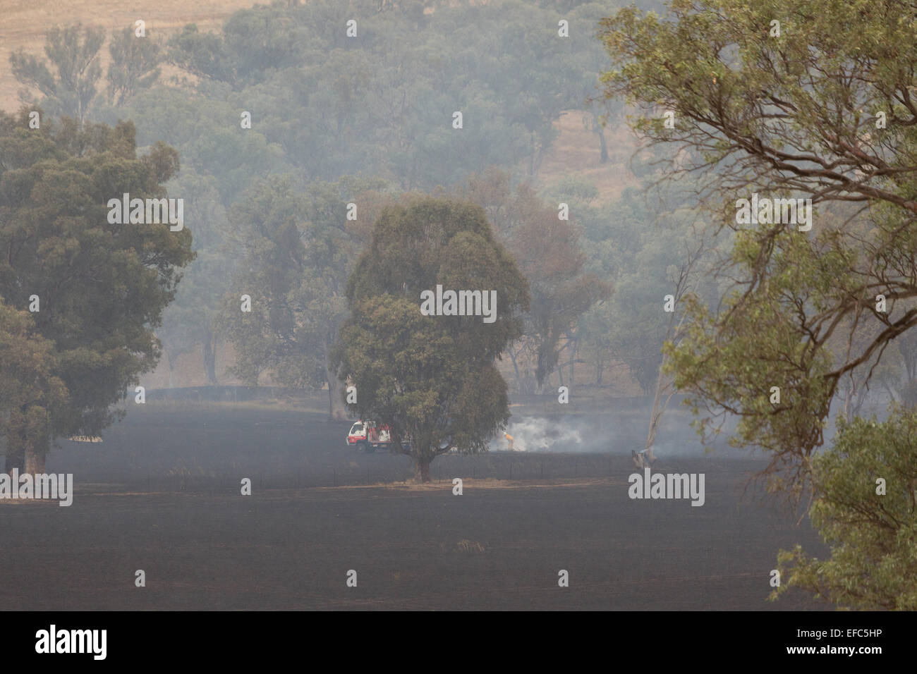 Une photographie de la suite d'un feu de brousse sur une ferme du centre de l'Australie à sec , de l'ouest. Banque D'Images