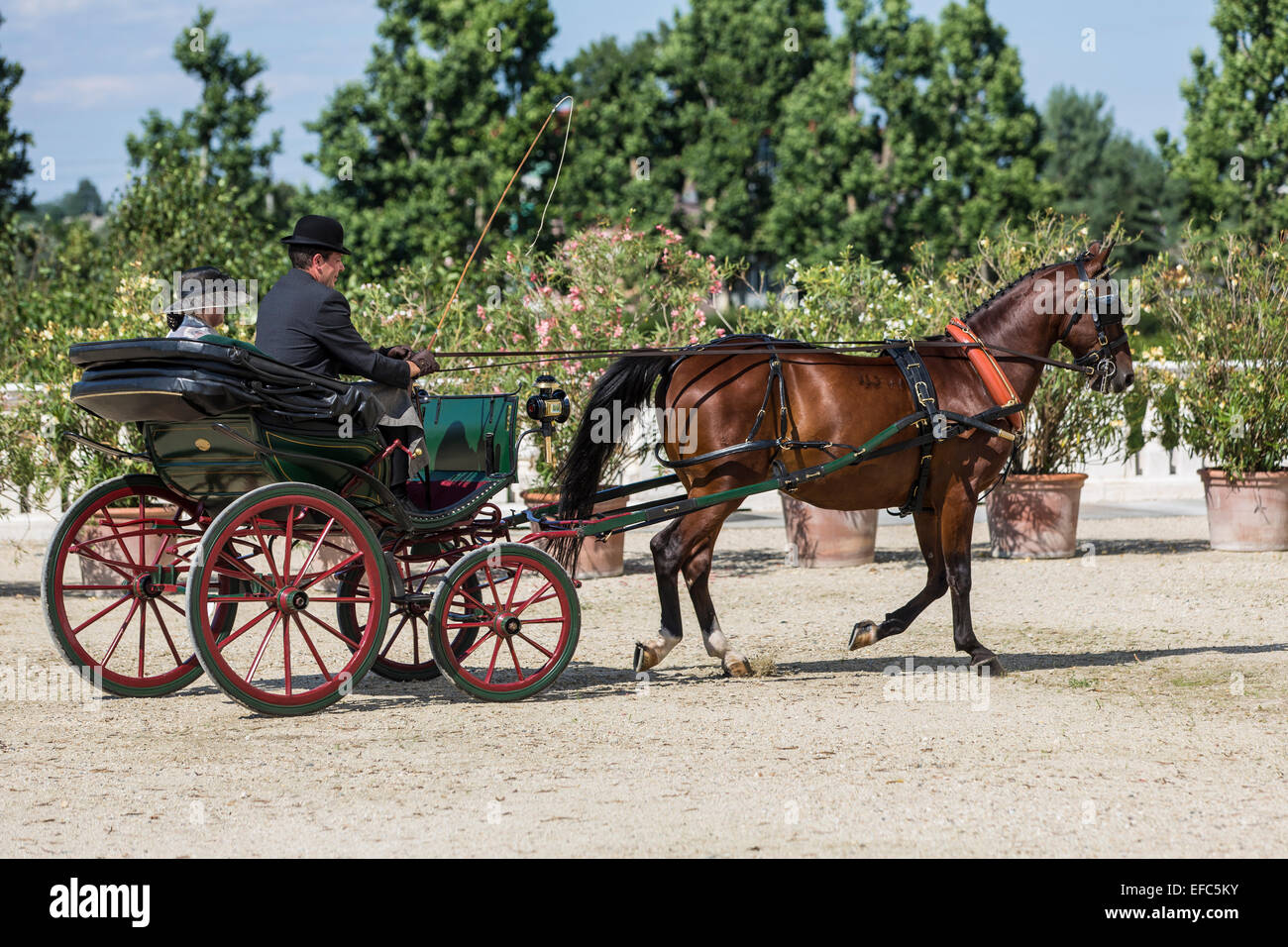 La concurrence pour les voitures traditionnelles Iternational 'La Venaria Reale', transport:Pistoiese,Chevaux : seul le Hongrois Banque D'Images