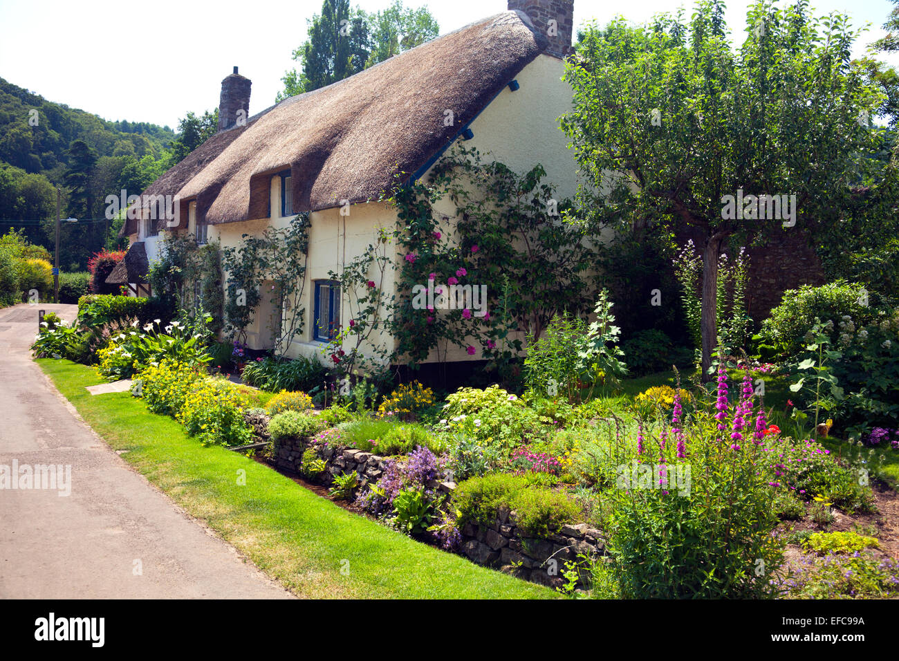 Une chaumière pittoresque et jardin à Dunster, Somerset, England, UK Banque D'Images