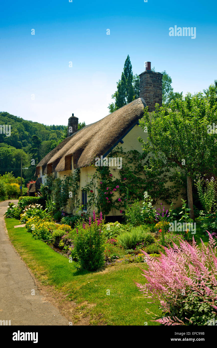 Une chaumière pittoresque et jardin à Dunster, Somerset, England, UK Banque D'Images
