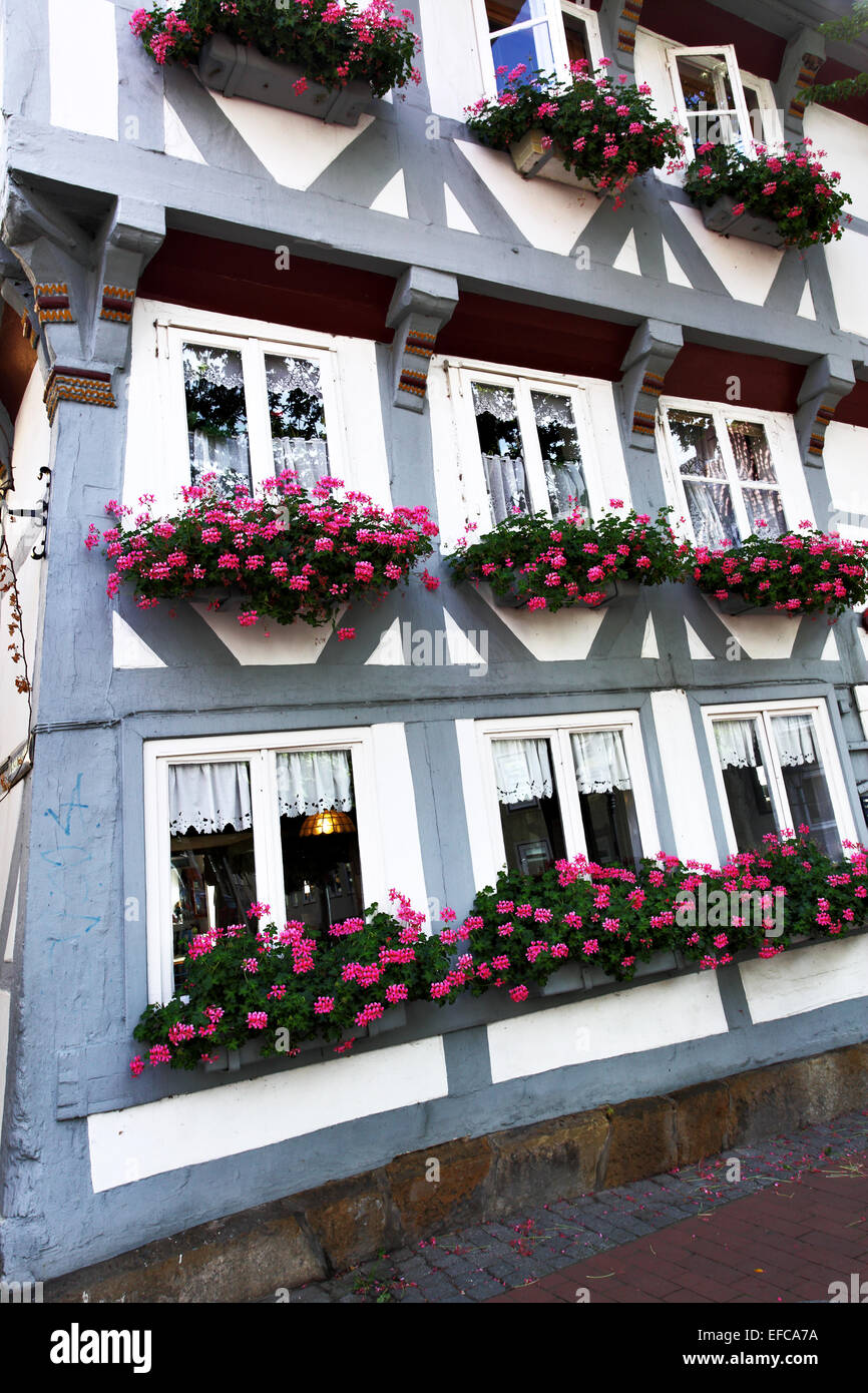 Maison médiévale avec des fleurs à Hildesheim, Allemagne Banque D'Images