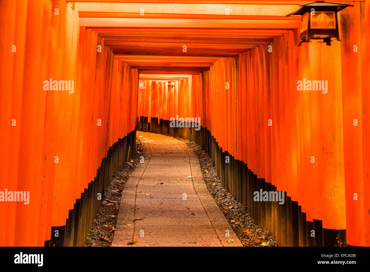 Fushimi Inari Taisha à Kyoto, Japon Banque D'Images